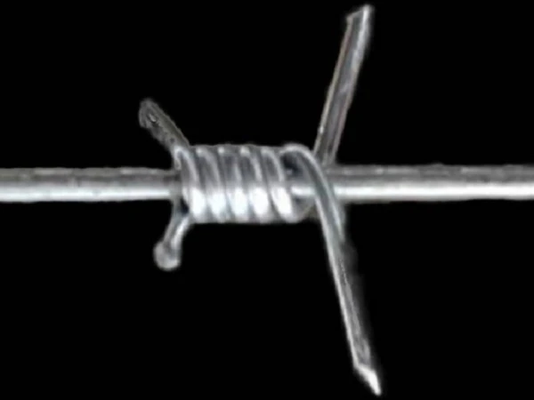 product-600-450