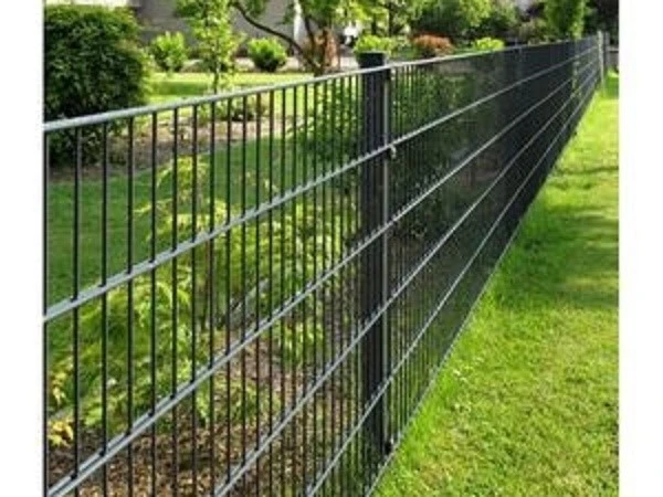 product-600-450